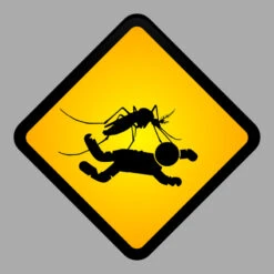 Danger Sign T-Shirt -Rugged Roots Store d.2526245231.25085859.s3.1 ababab bm9uZQ 800x800 1