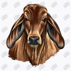 Brahman Cow T-Shirt -Rugged Roots Store d.2526735464.25095007.s3.1 f9f9fb YXJ0aXN0c2hvdA 800x800 1