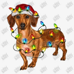 Dachshund Christmas Lights Slide Sandal -Rugged Roots Store d.2526777637.25096830.s3.1 f5f5f5 YXJ0aXN0c2hvdA 800x800 1
