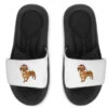 Dachshund Christmas Lights Slide Sandal -Rugged Roots Store pmd.2526777637.202.25096830.s3.1 front customized2 f5f5f5 none x90y65.5 60 800x800 1